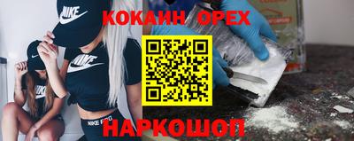 дмт Обь