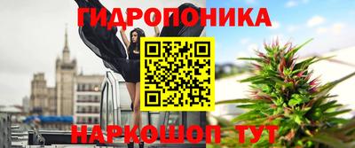 прущие крисы Нягань