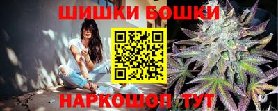дмт Обь