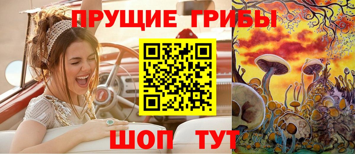 Галлюциногенные грибы ЛСД  Галлюциногенные грибы ЛСД  Свободный  Вход с VPN 