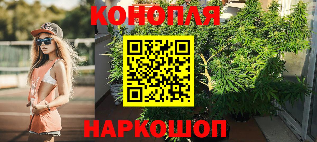 Бошки марихуана OG Kush Свободный